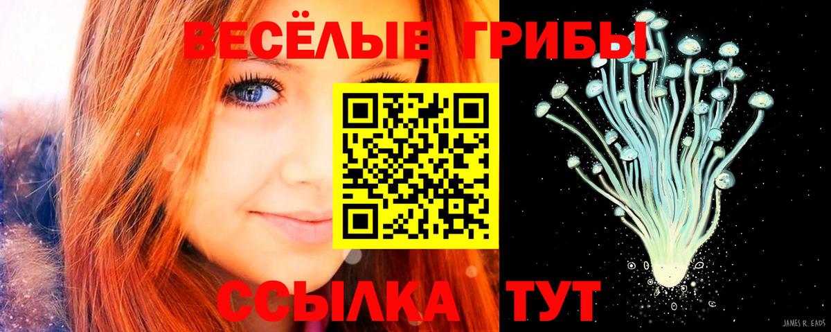 Большой Камень  Галлюциногенные грибы мицелий  Вход с VPN 