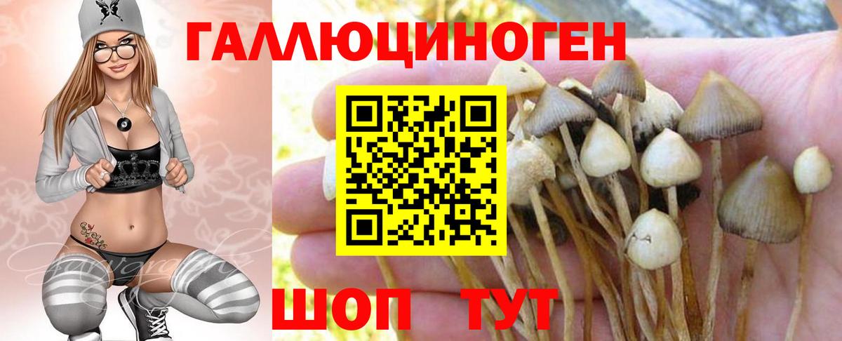 Галлюциногенные грибы ЛСД Большой Камень